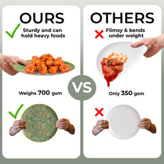 Earthtrends Bouyant Design Plates Combo Set 16/16.