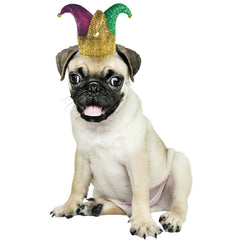 Pet Jester Hat Costume Accessory (M/L)