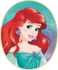 Disney Princess Once Upon a Time Frame Decorating Kit