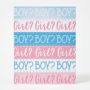 Pink or Blue? Gender Reveal Party Invitations