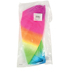 Rainbow Playround Ball/18 In - 1 Count