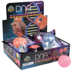 Dna Squeeze Balls - 12 Count