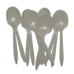Silver Plastic Spoons | 48 Count