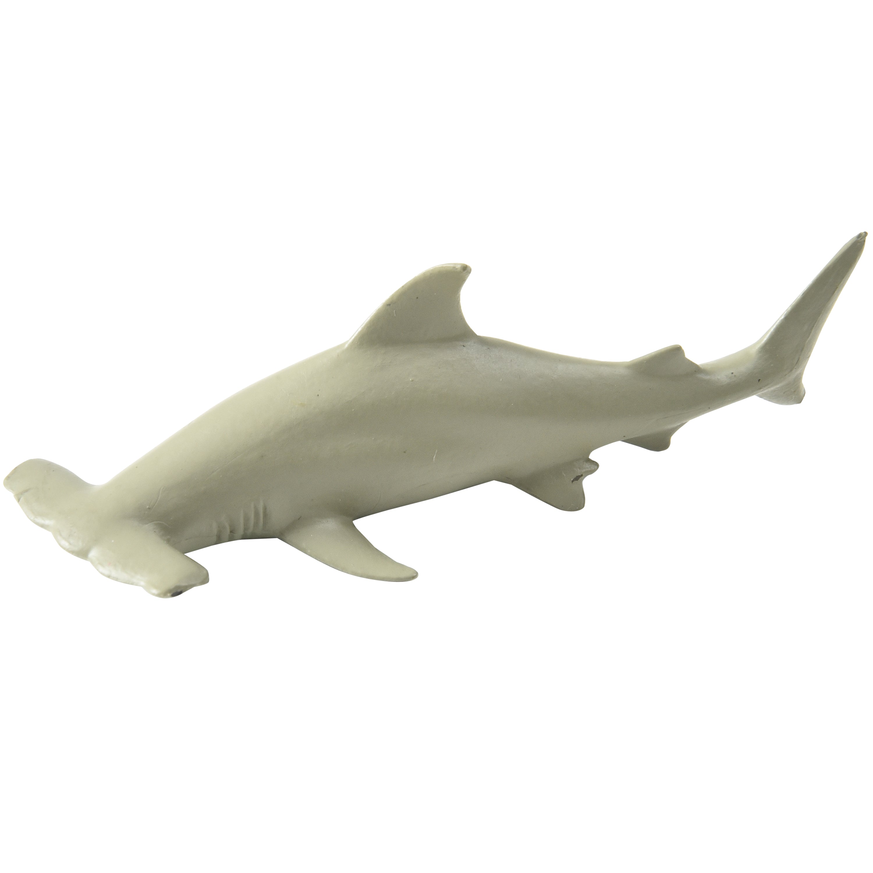 Sharks