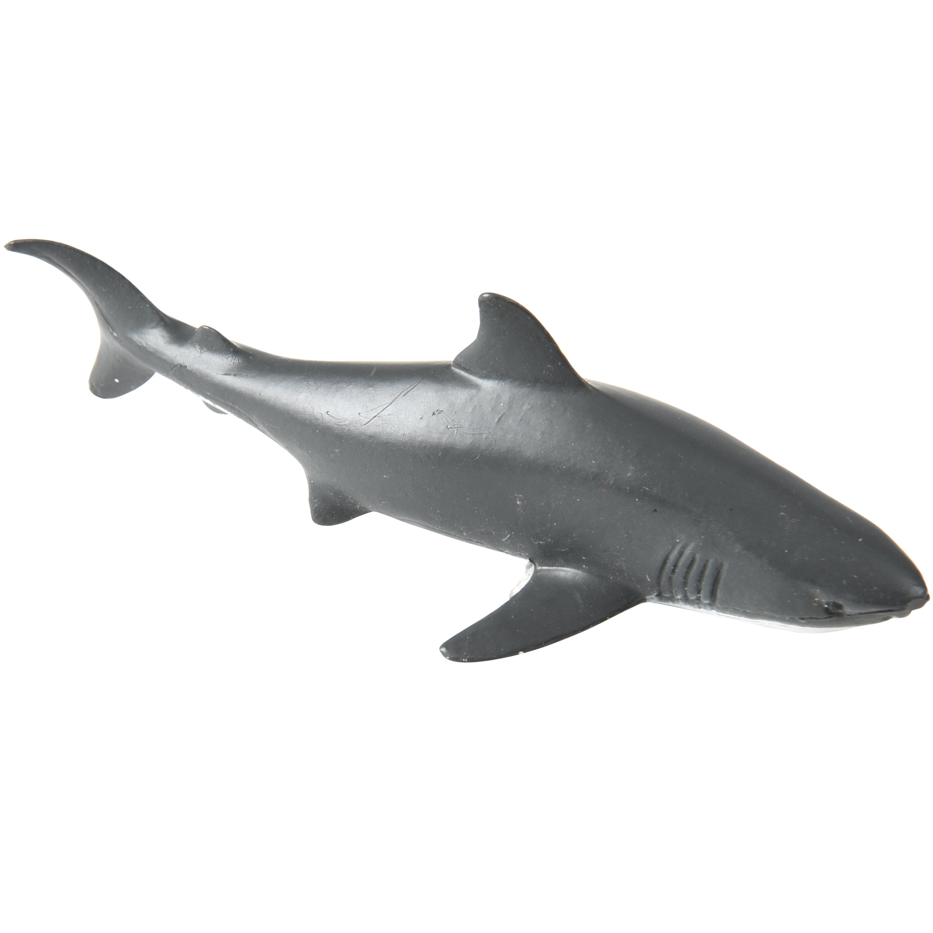 Sharks