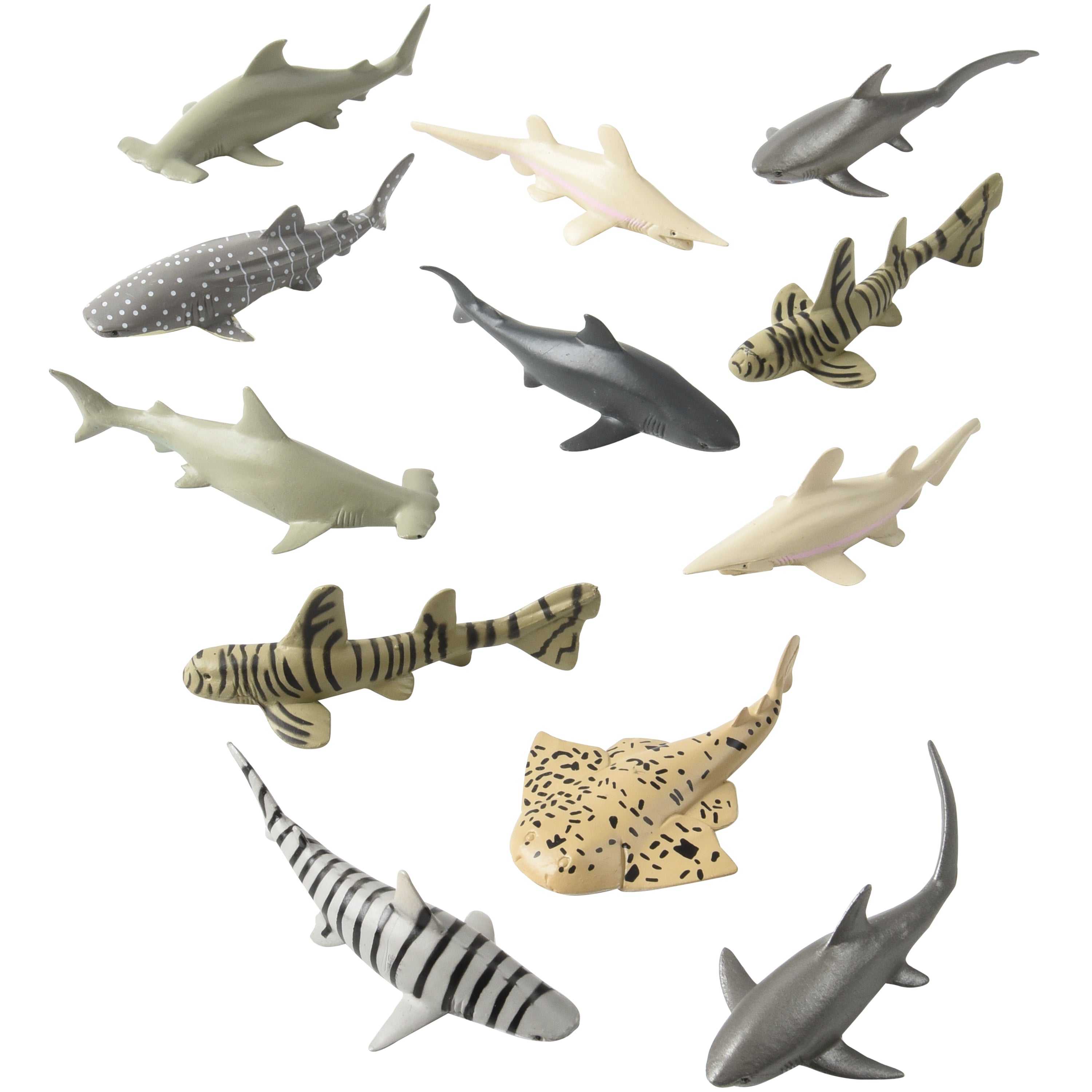 Sharks