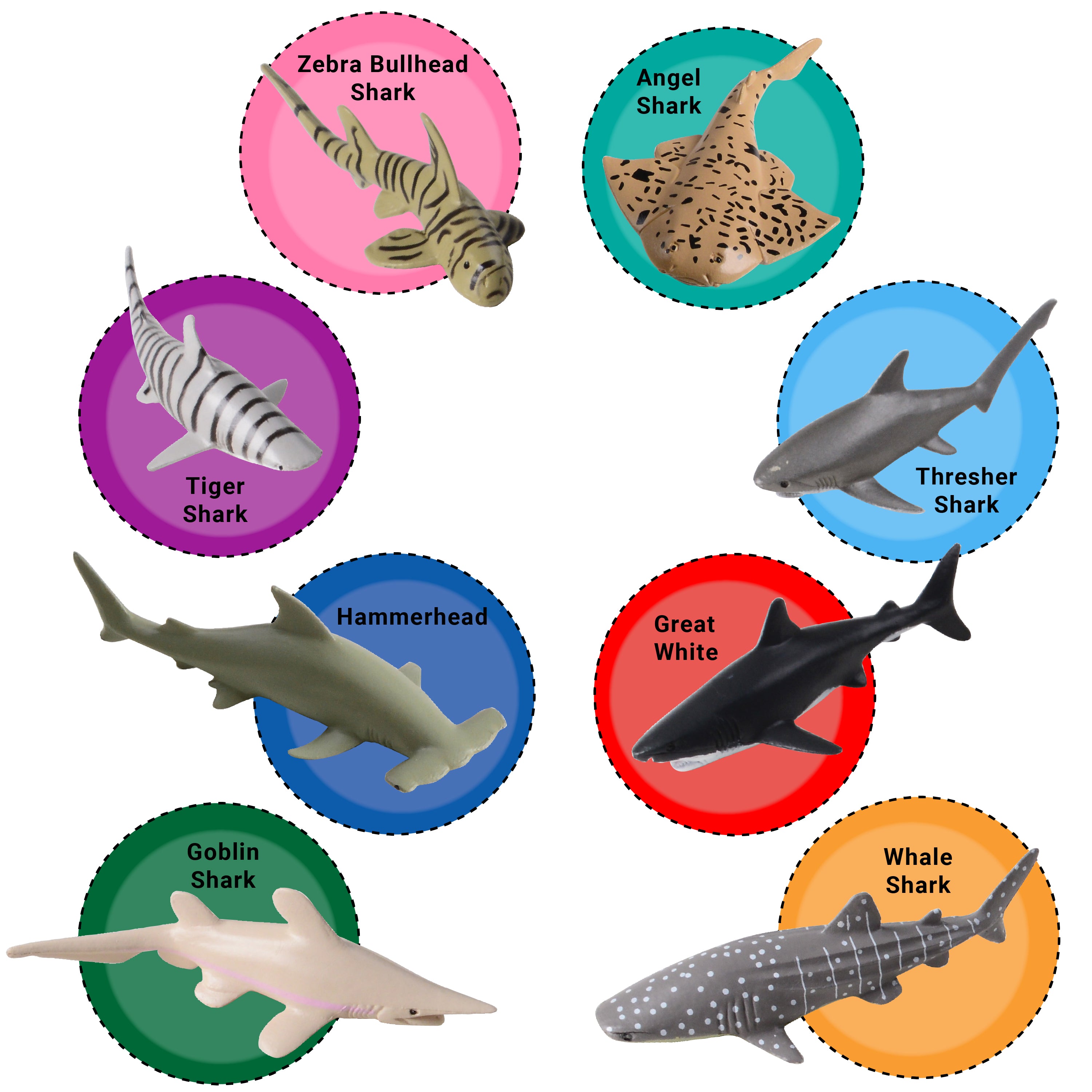 Sharks
