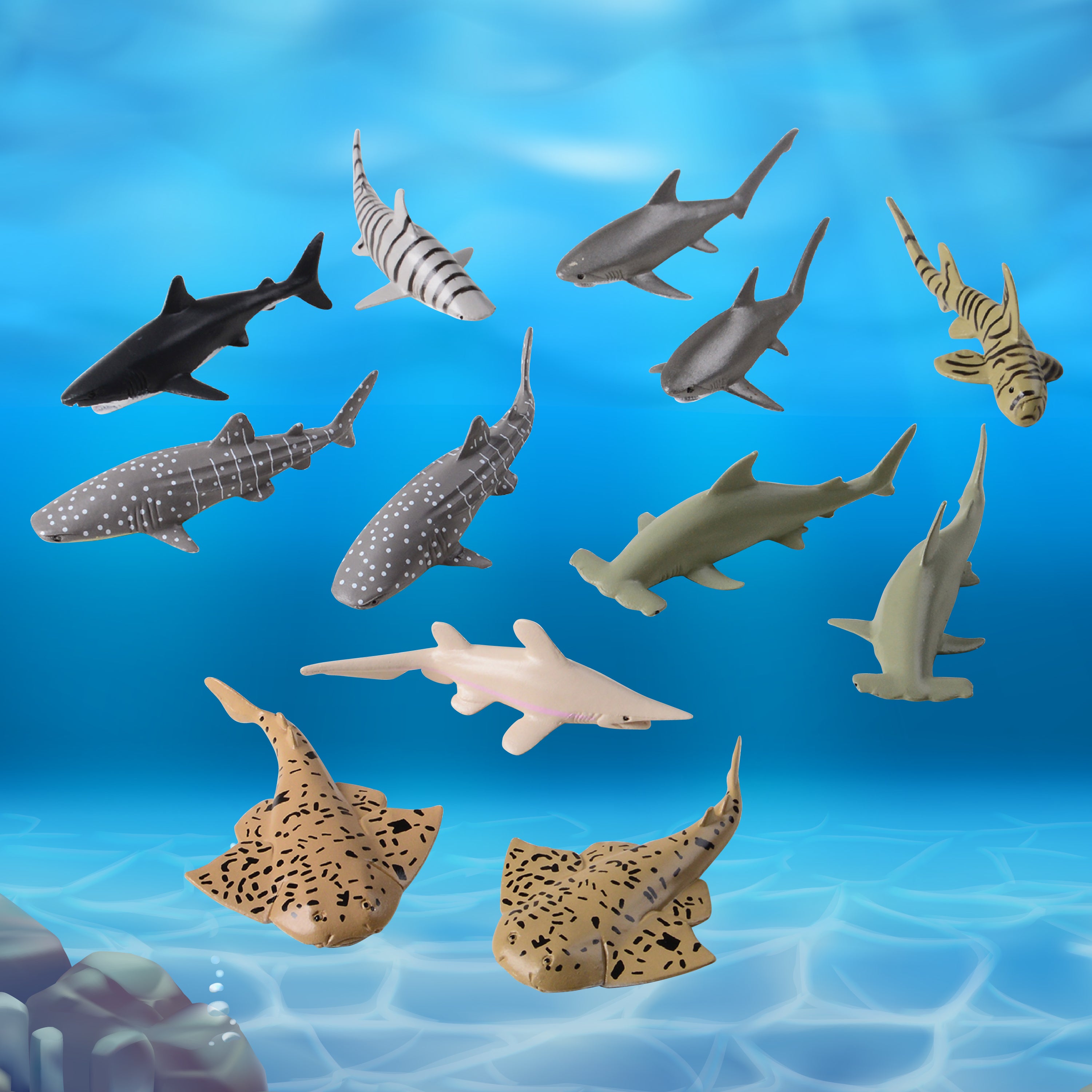 Sharks