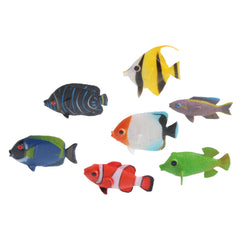 Mini Tropical Fishes