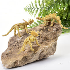 Skeleton Dinos