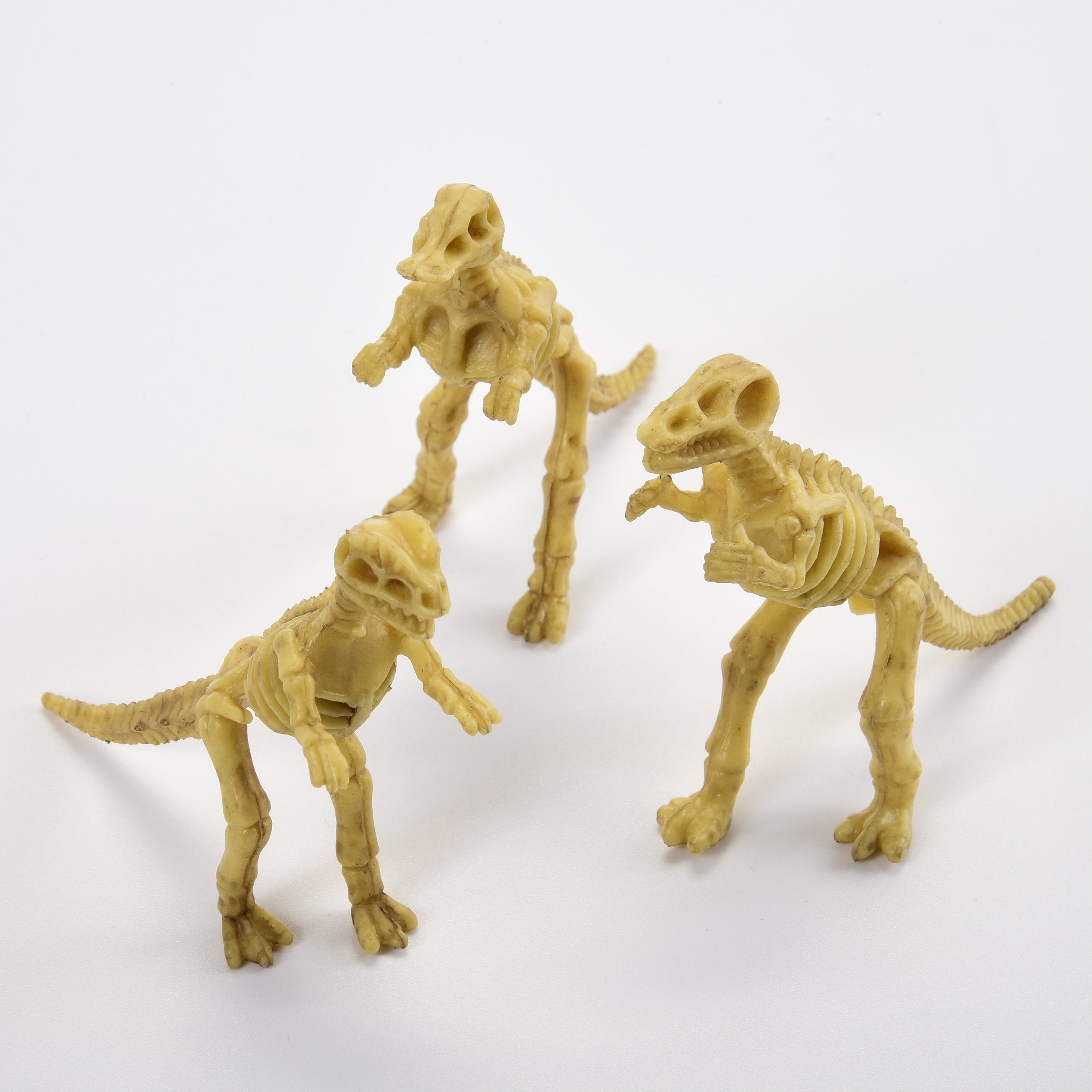 Skeleton Dinos
