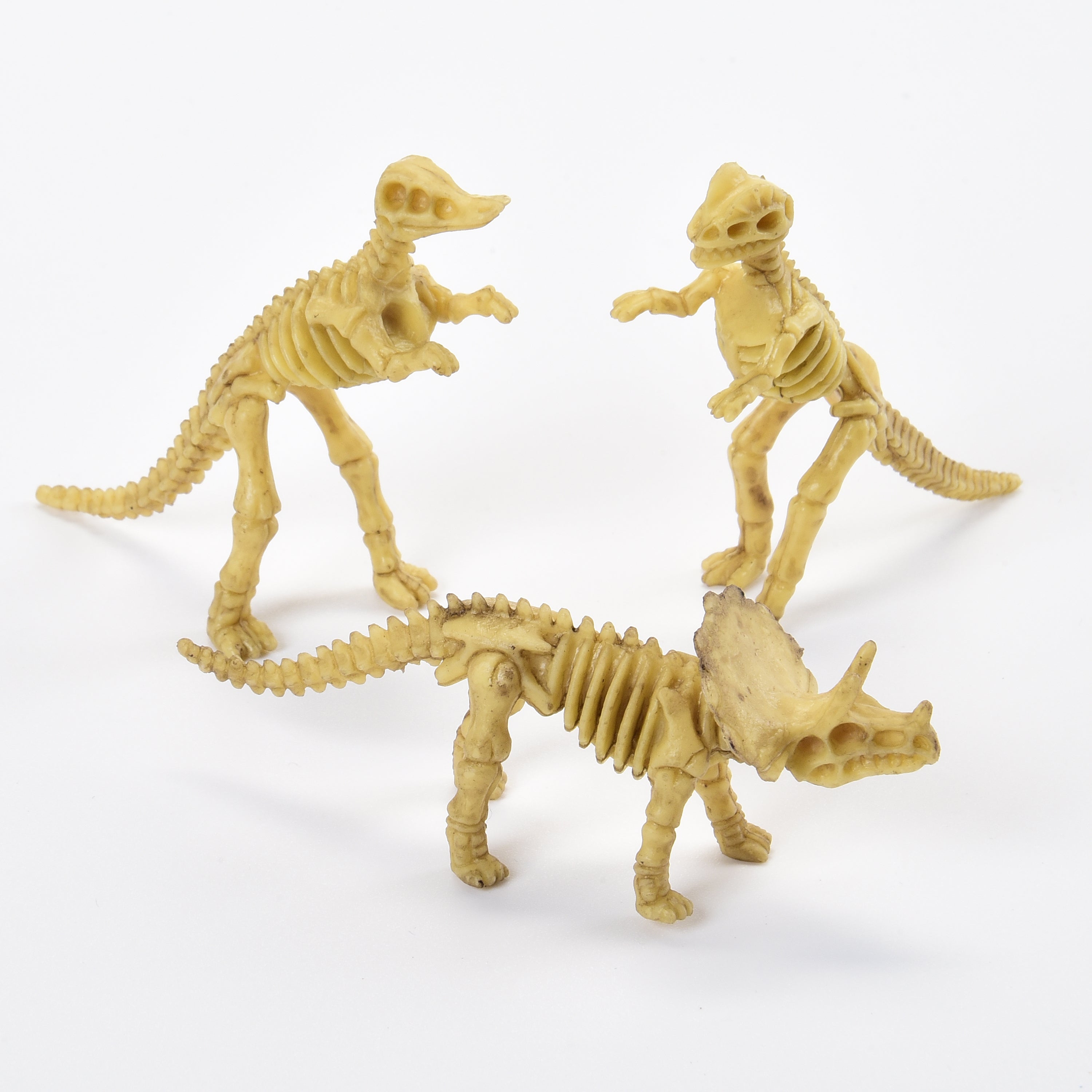 Skeleton Dinos