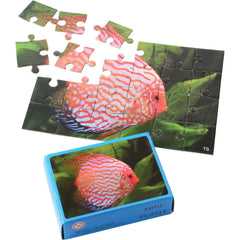Fish Puzzles