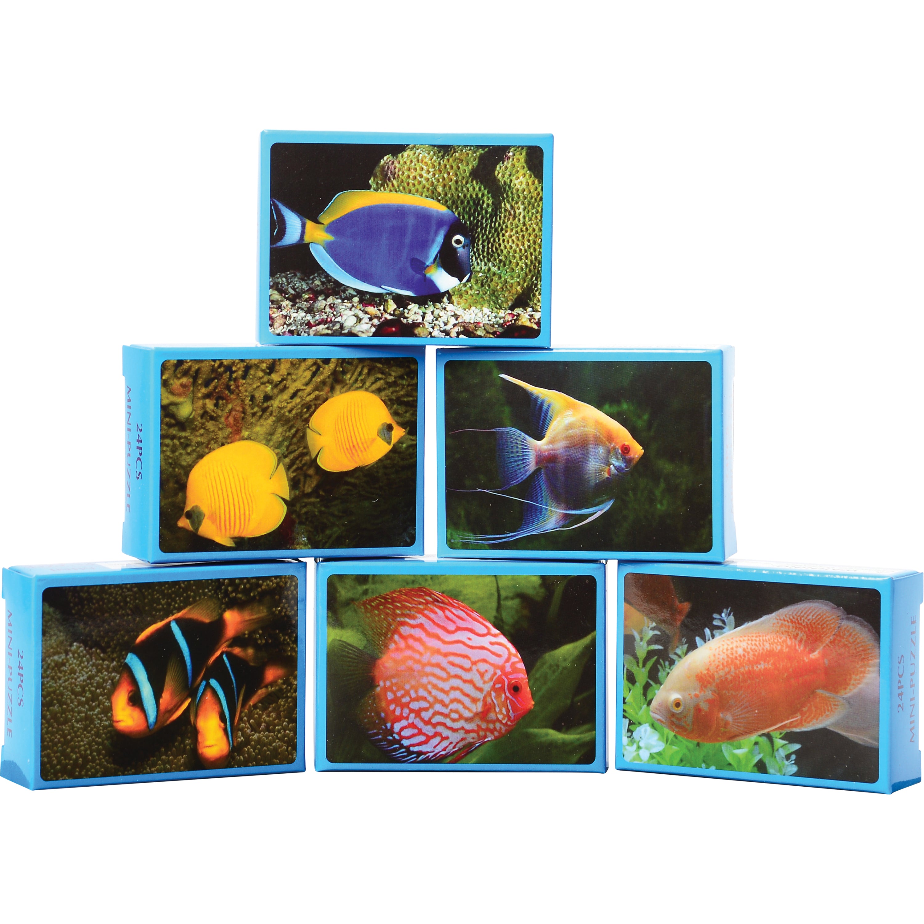 Fish Puzzles