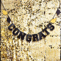 Class 101 - Grad Paillette Backdrop Set, Black/Silver/Gold
