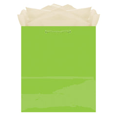 PMA - Paper Gift Bag, Assorted Colours, 9.5-in, for Birthday/Valentine's Day/Easter/Baby Shower