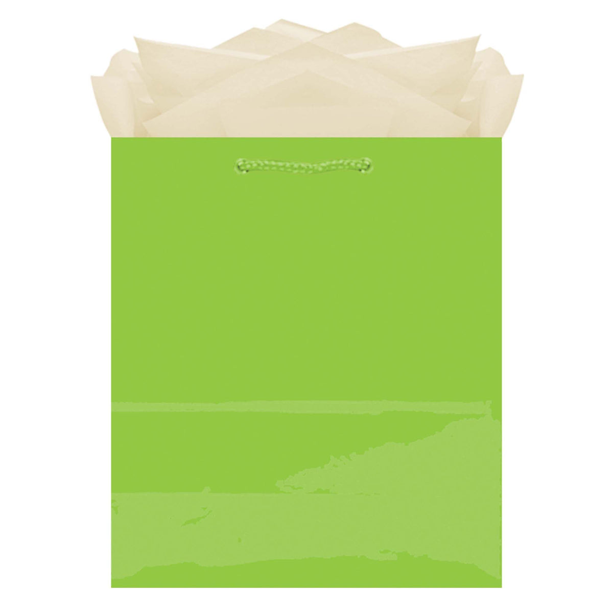 Urban Air - Paper Gift Bag, Assorted Colours, 9.5-in, for Birthday/Valentine's Day/Easter/Baby Shower
