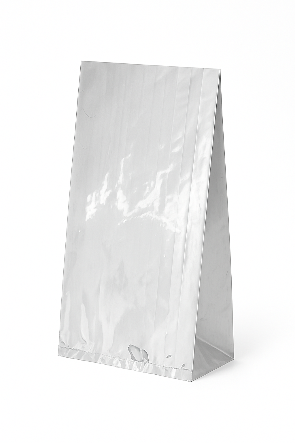 Silver Party Cello Bags