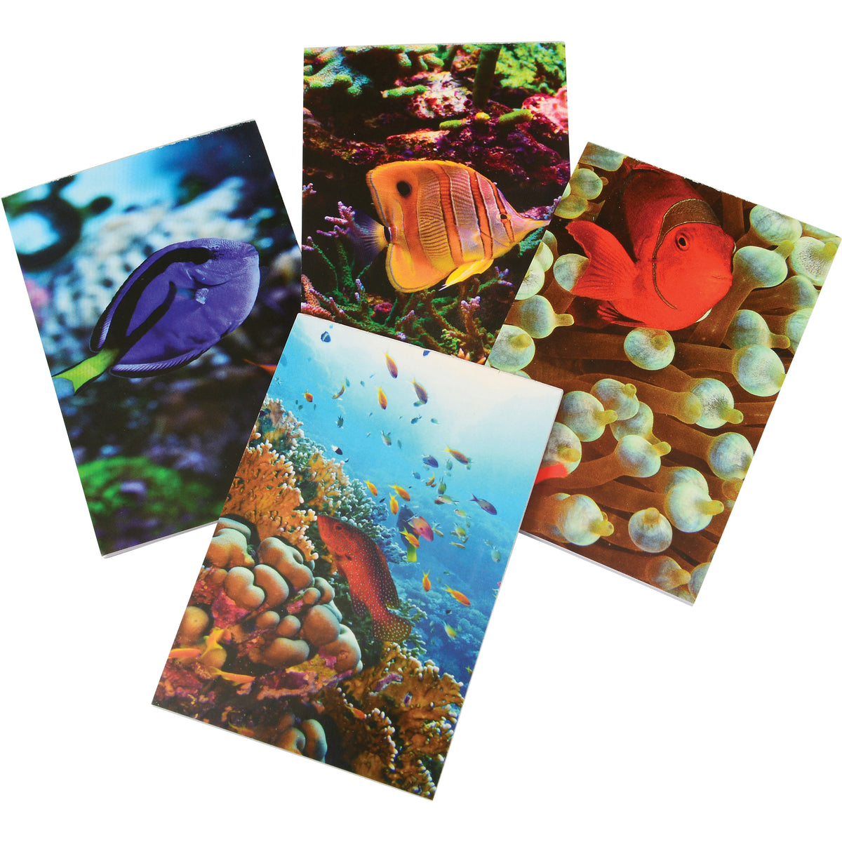 Coral Reef Memo Pads