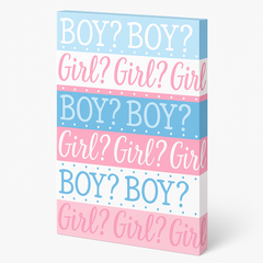 Pink or Blue? Gender Reveal Party Invitations